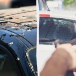 Os pássaros já não cagam nos automóveis: eis o que